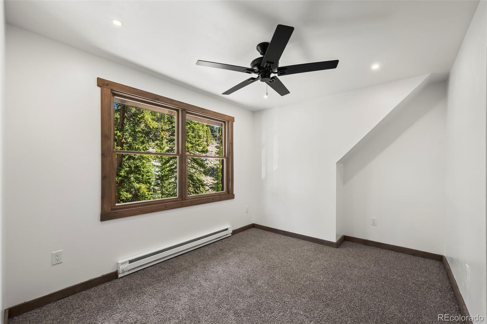 MLS Image #13 for 46  silver creek road,idaho springs, Colorado