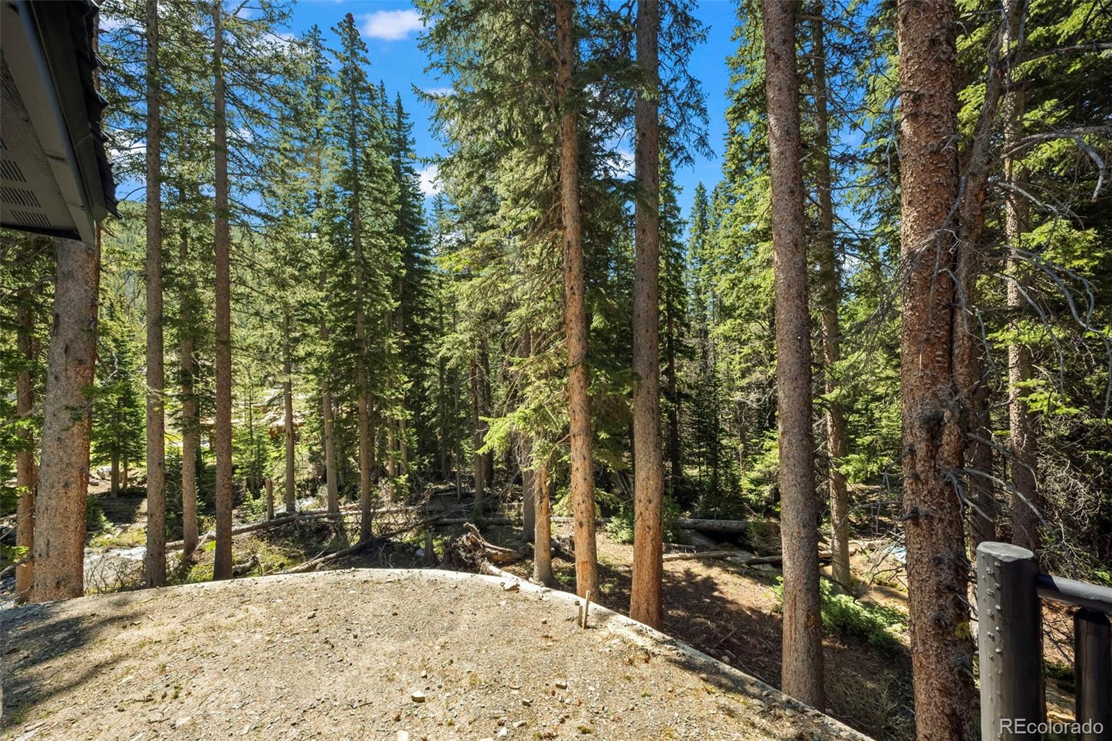 MLS Image #20 for 46  silver creek road,idaho springs, Colorado