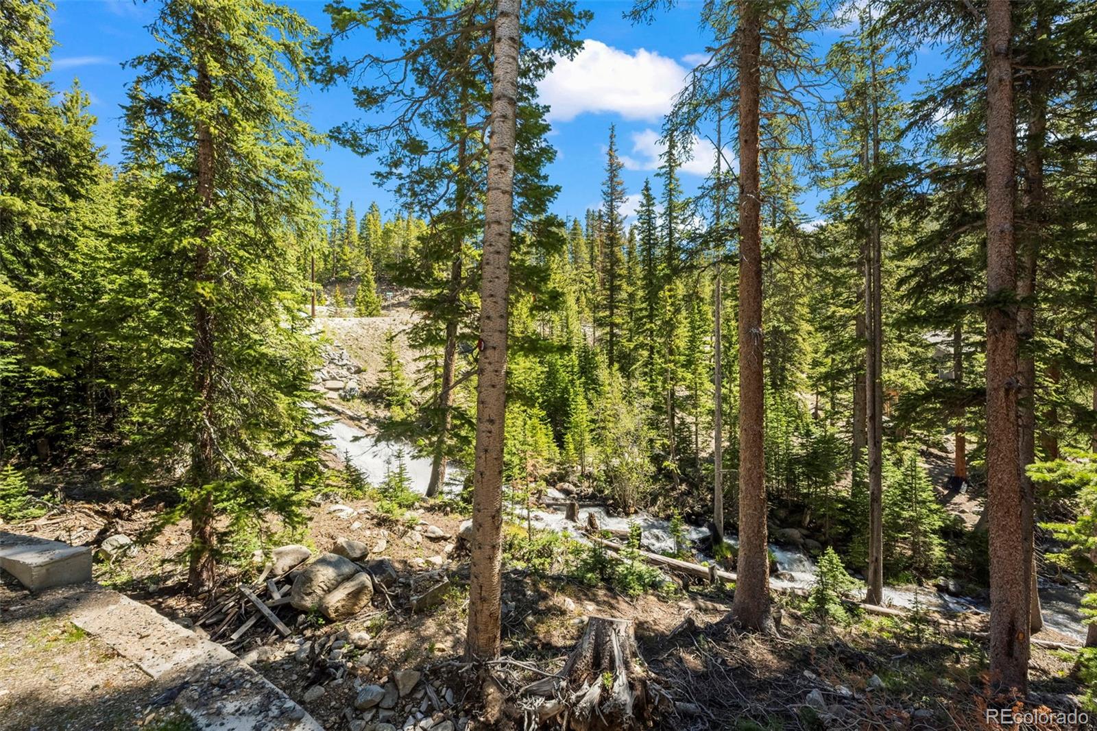 MLS Image #21 for 46  silver creek road,idaho springs, Colorado