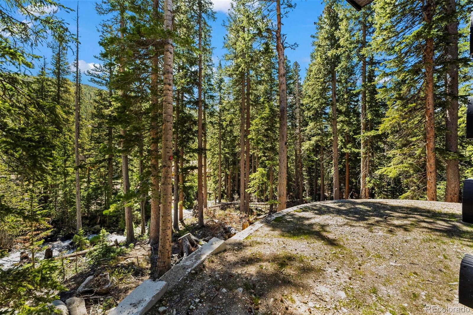 MLS Image #22 for 46  silver creek road,idaho springs, Colorado