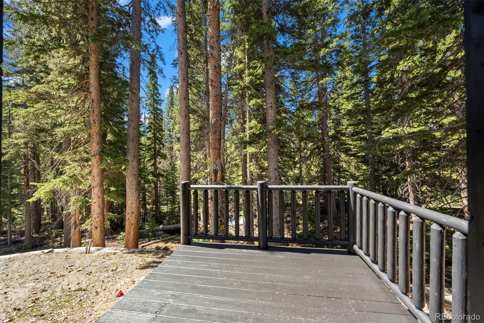 MLS Image #23 for 46  silver creek road,idaho springs, Colorado