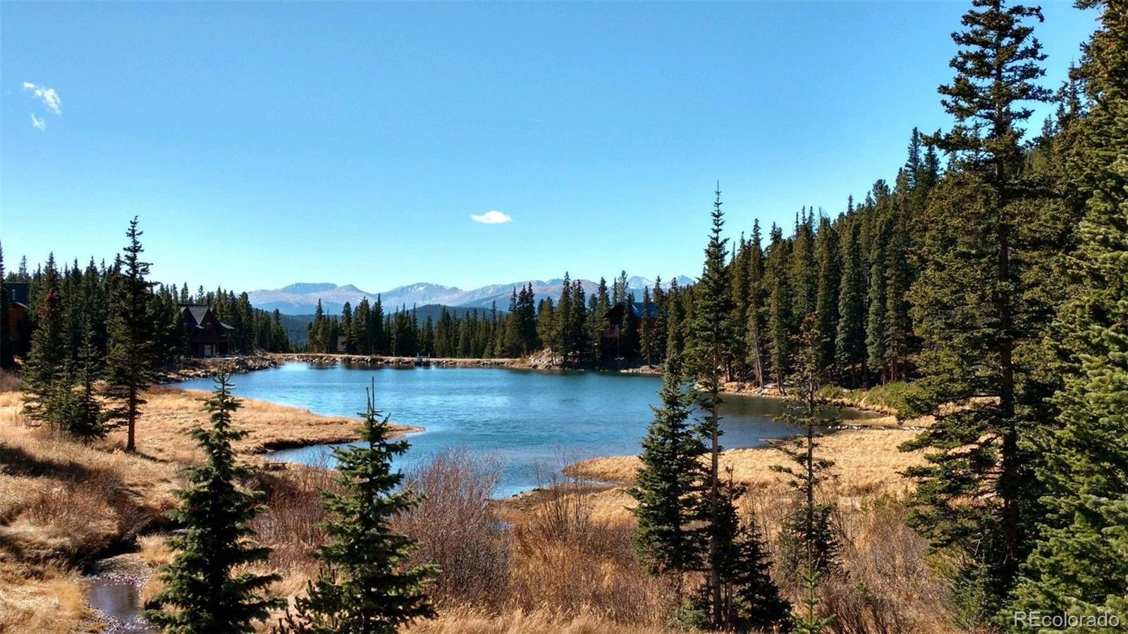 MLS Image #27 for 46  silver creek road,idaho springs, Colorado