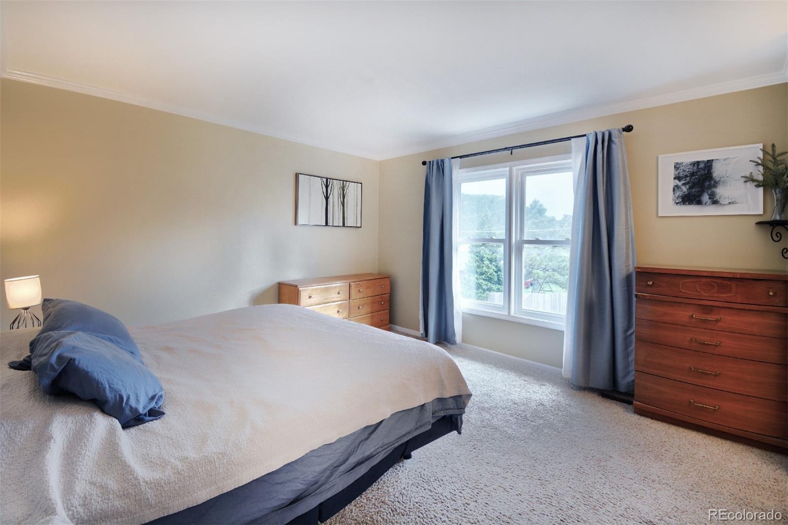 MLS Image #11 for 103  aurelia street,palmer lake, Colorado