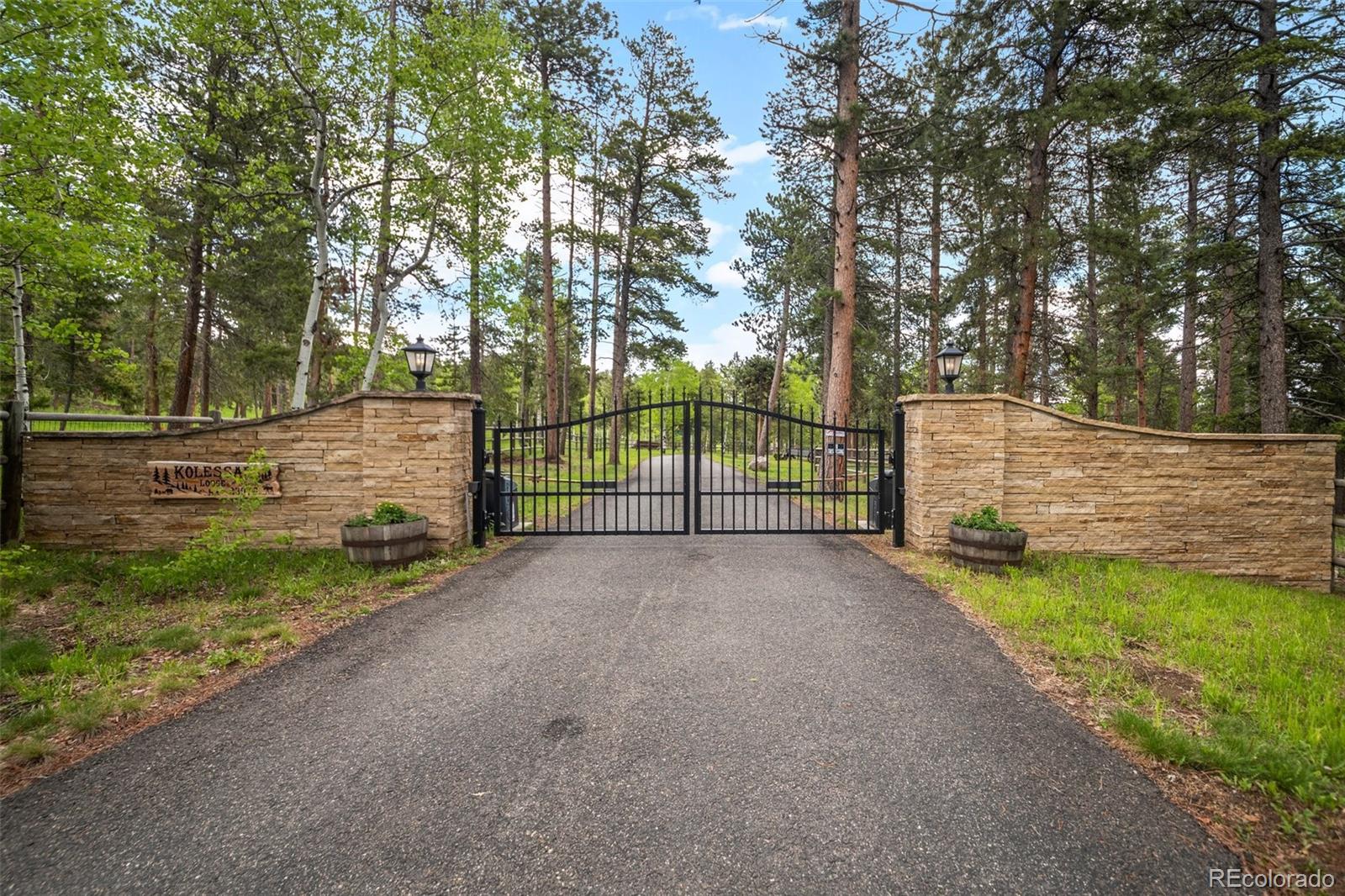 MLS Image #2 for 23076  oehlmann park road,conifer, Colorado