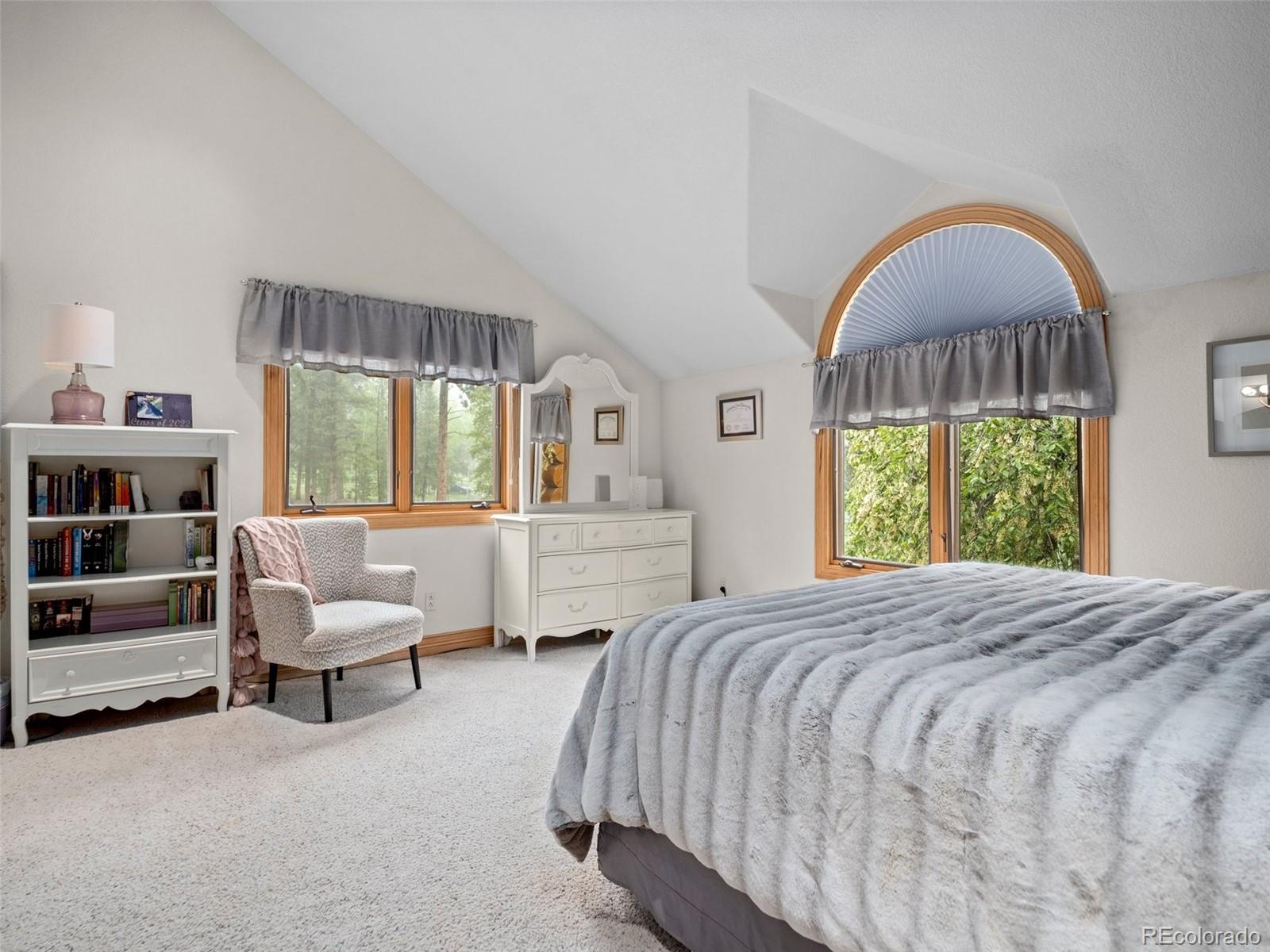 MLS Image #26 for 23076  oehlmann park road,conifer, Colorado