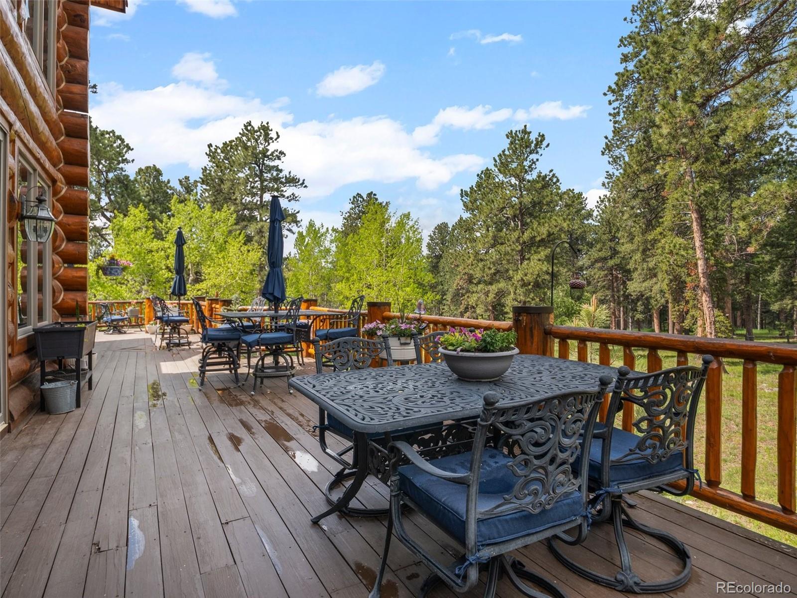 MLS Image #34 for 23076  oehlmann park road,conifer, Colorado