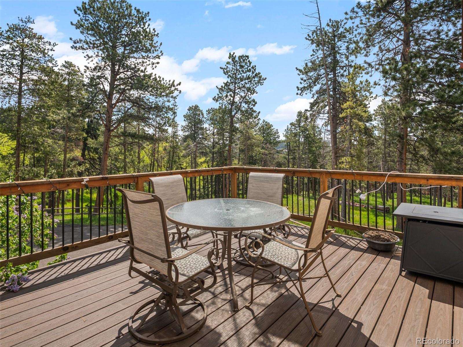 MLS Image #41 for 23076  oehlmann park road,conifer, Colorado