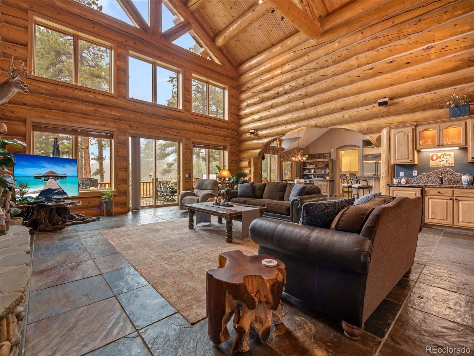 MLS Image #6 for 23076  oehlmann park road,conifer, Colorado