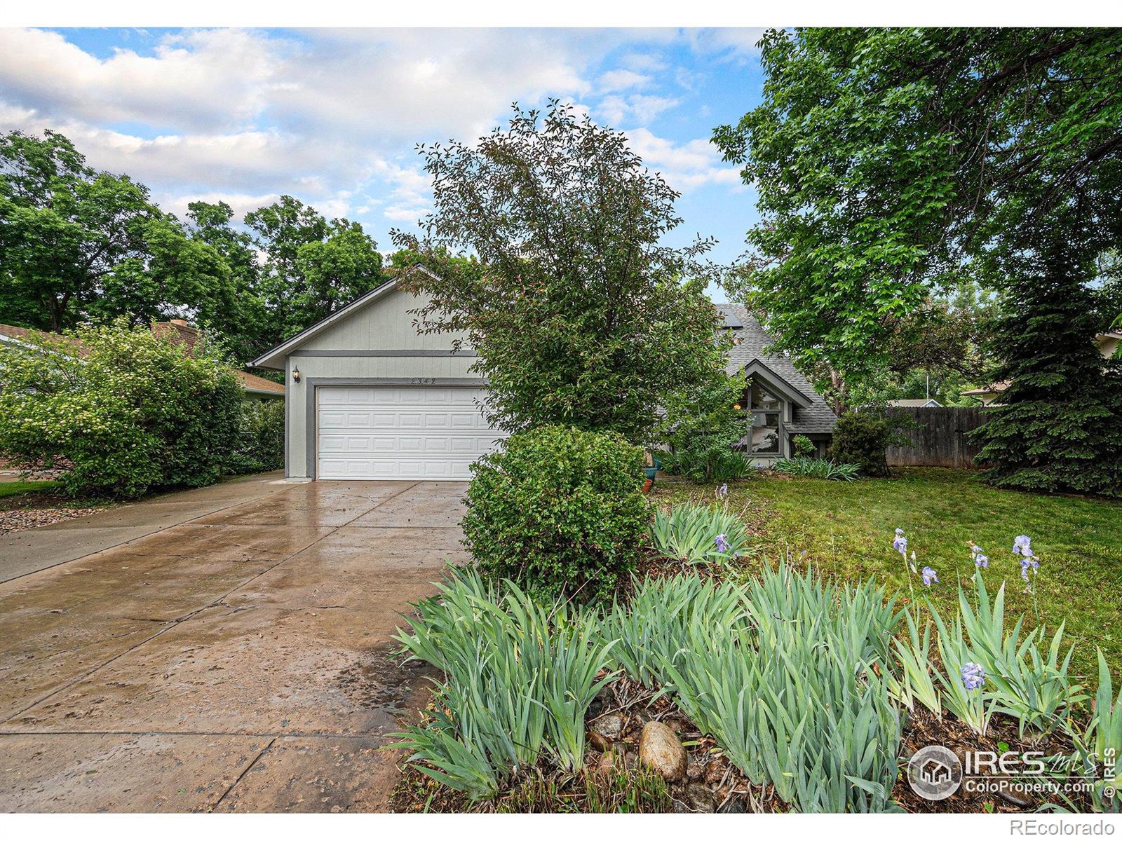 MLS Image #39 for 2342  hampshire road,fort collins, Colorado