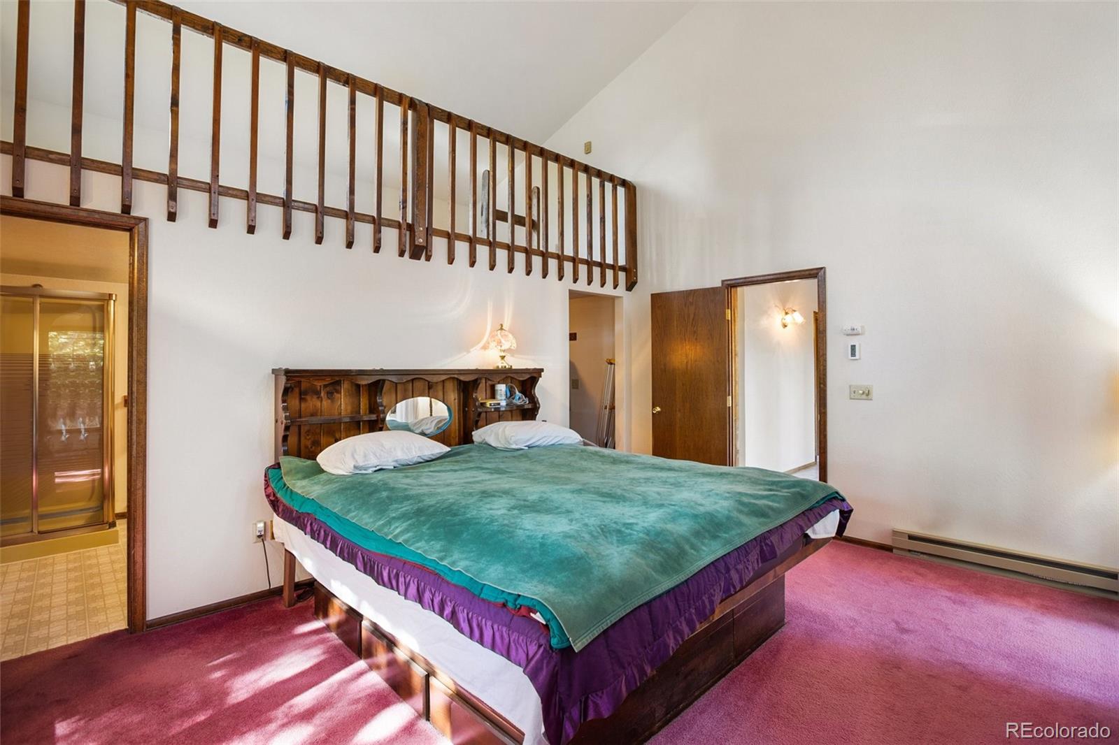 MLS Image #12 for 886  cottonwood lake drive,divide, Colorado