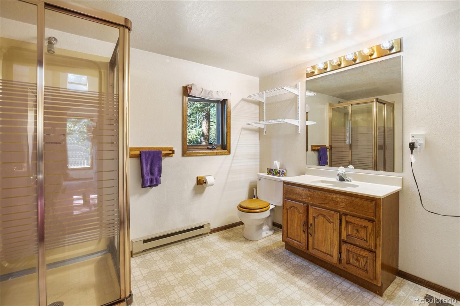 MLS Image #14 for 886  cottonwood lake drive,divide, Colorado