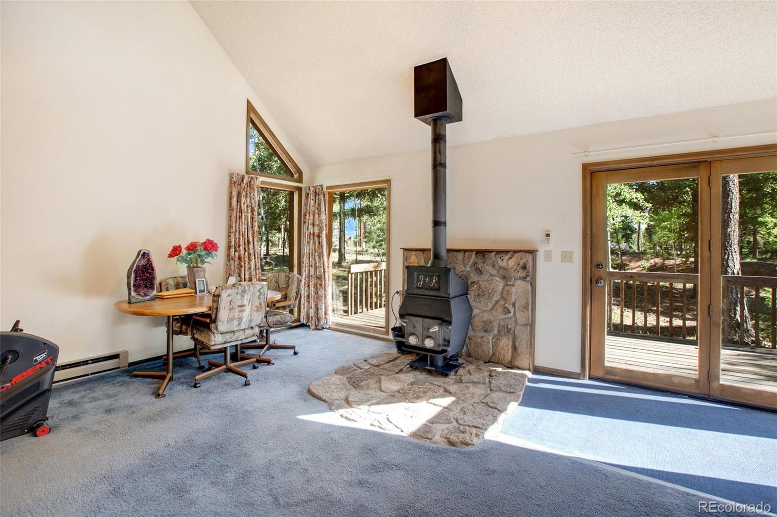 MLS Image #17 for 886  cottonwood lake drive,divide, Colorado