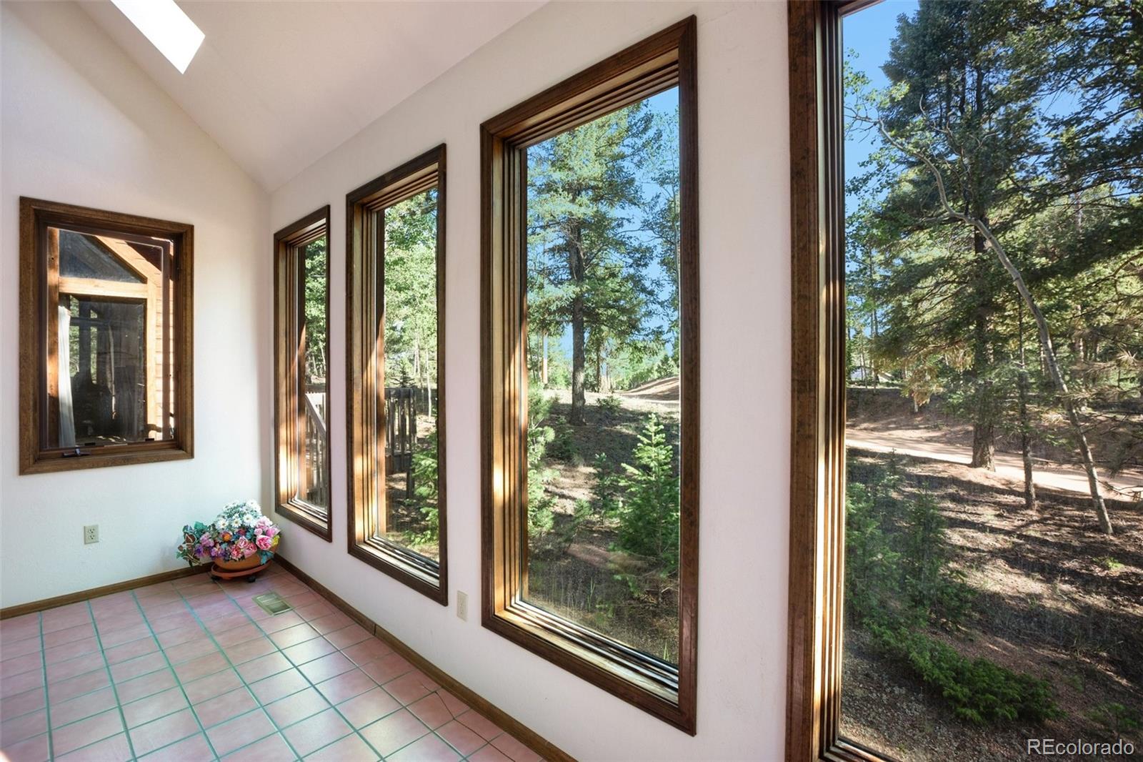 MLS Image #21 for 886  cottonwood lake drive,divide, Colorado
