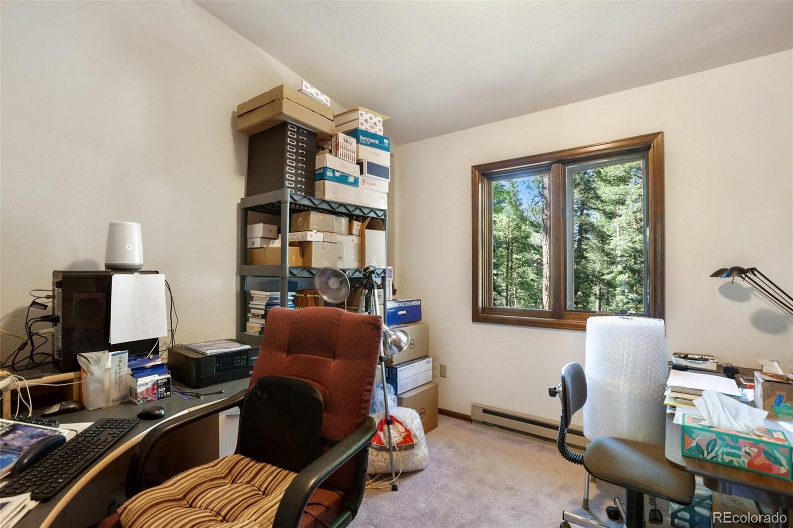 MLS Image #23 for 886  cottonwood lake drive,divide, Colorado