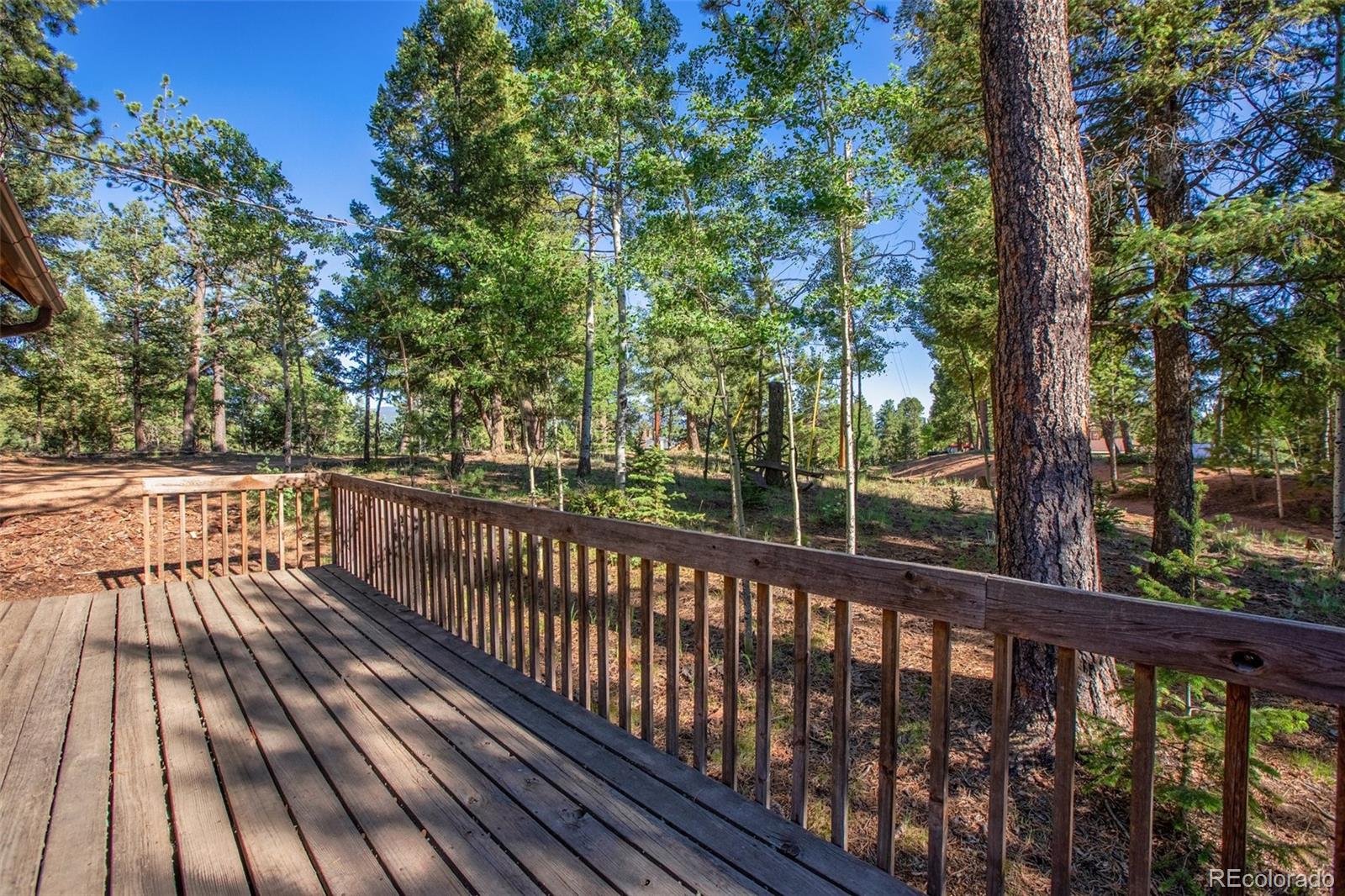 MLS Image #28 for 886  cottonwood lake drive,divide, Colorado