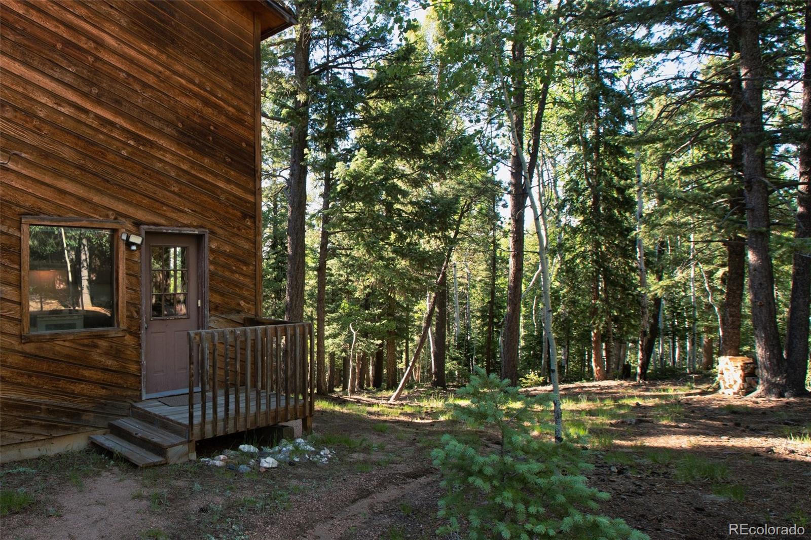 MLS Image #31 for 886  cottonwood lake drive,divide, Colorado