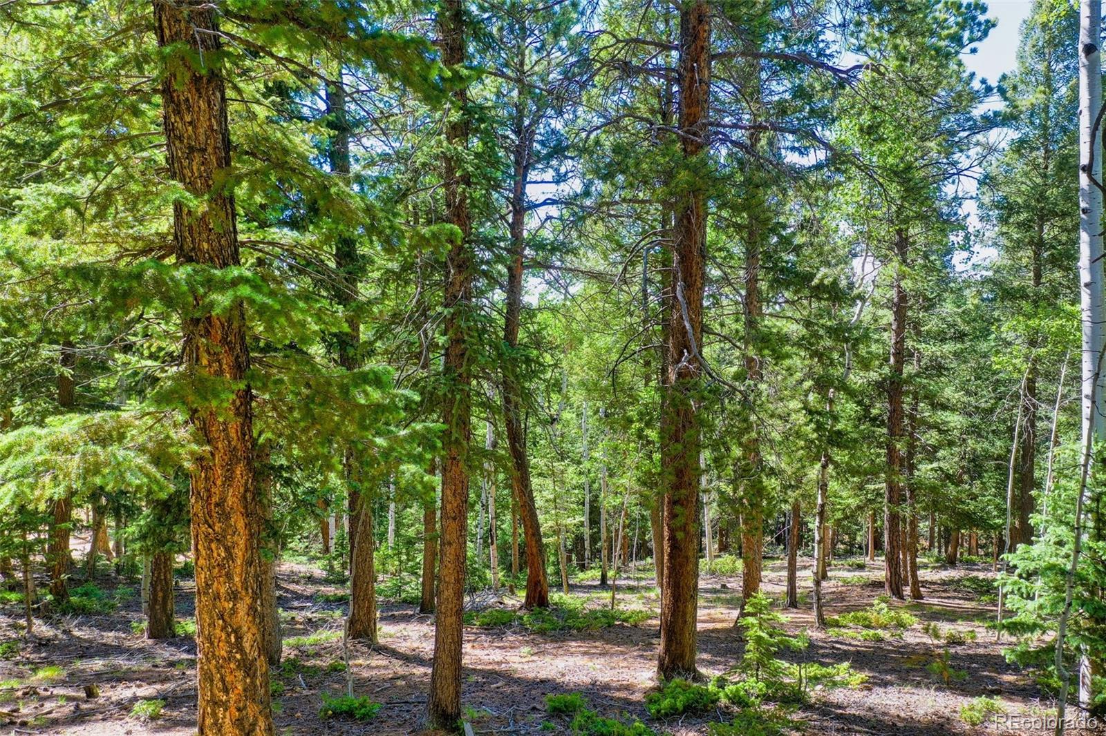 MLS Image #37 for 886  cottonwood lake drive,divide, Colorado