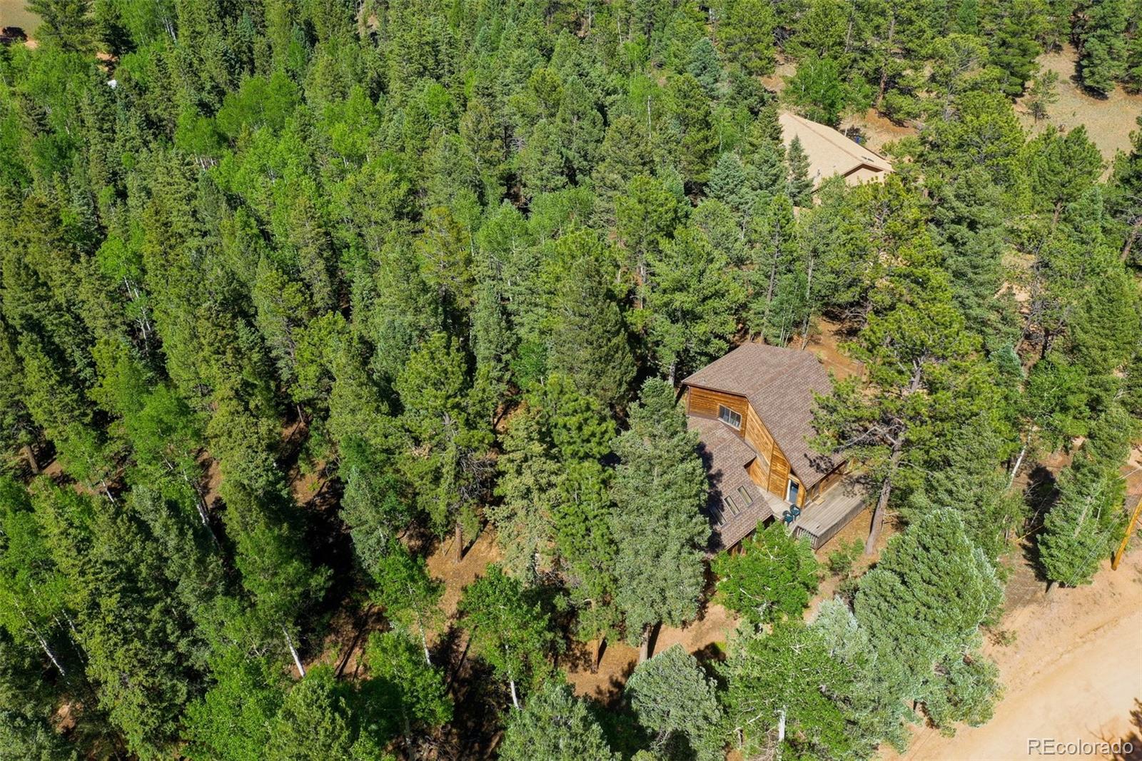 MLS Image #41 for 886  cottonwood lake drive,divide, Colorado
