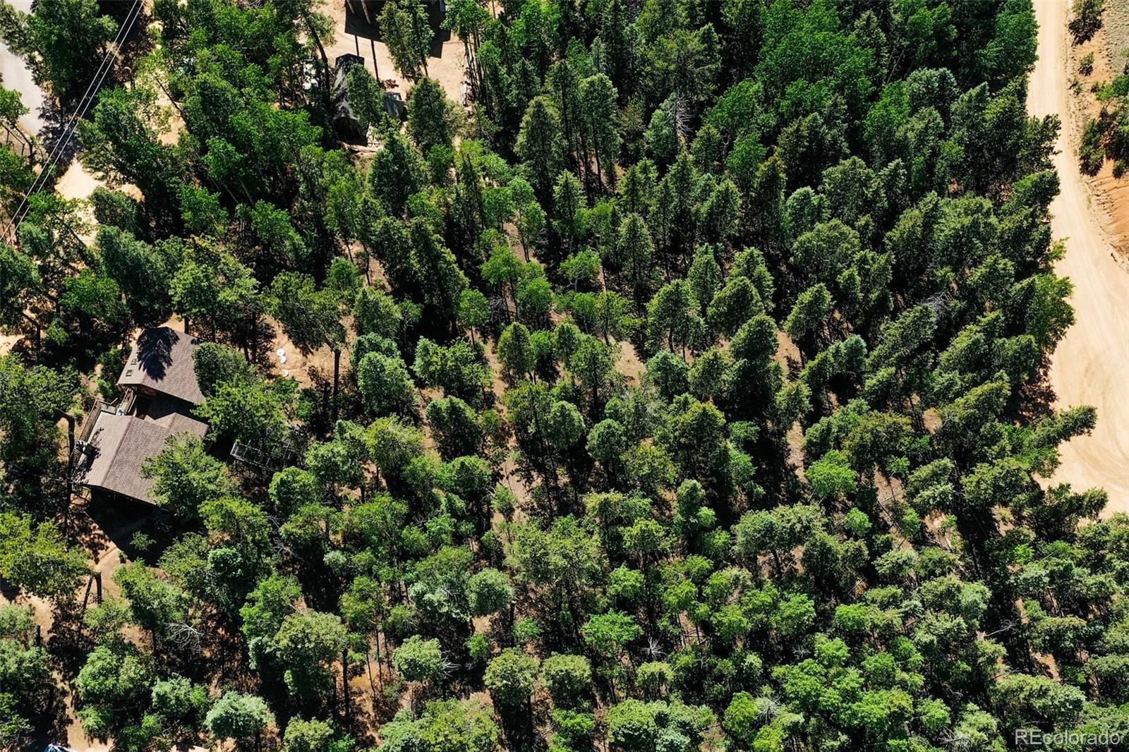 MLS Image #43 for 886  cottonwood lake drive,divide, Colorado