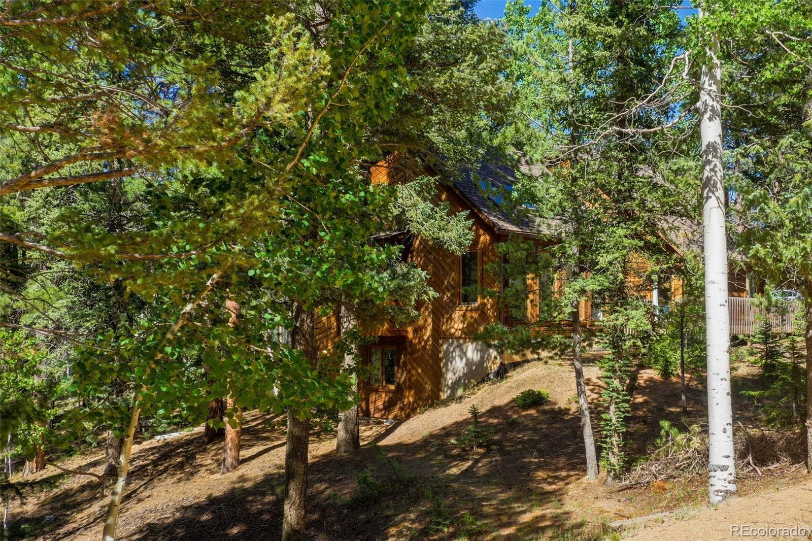 MLS Image #44 for 886  cottonwood lake drive,divide, Colorado