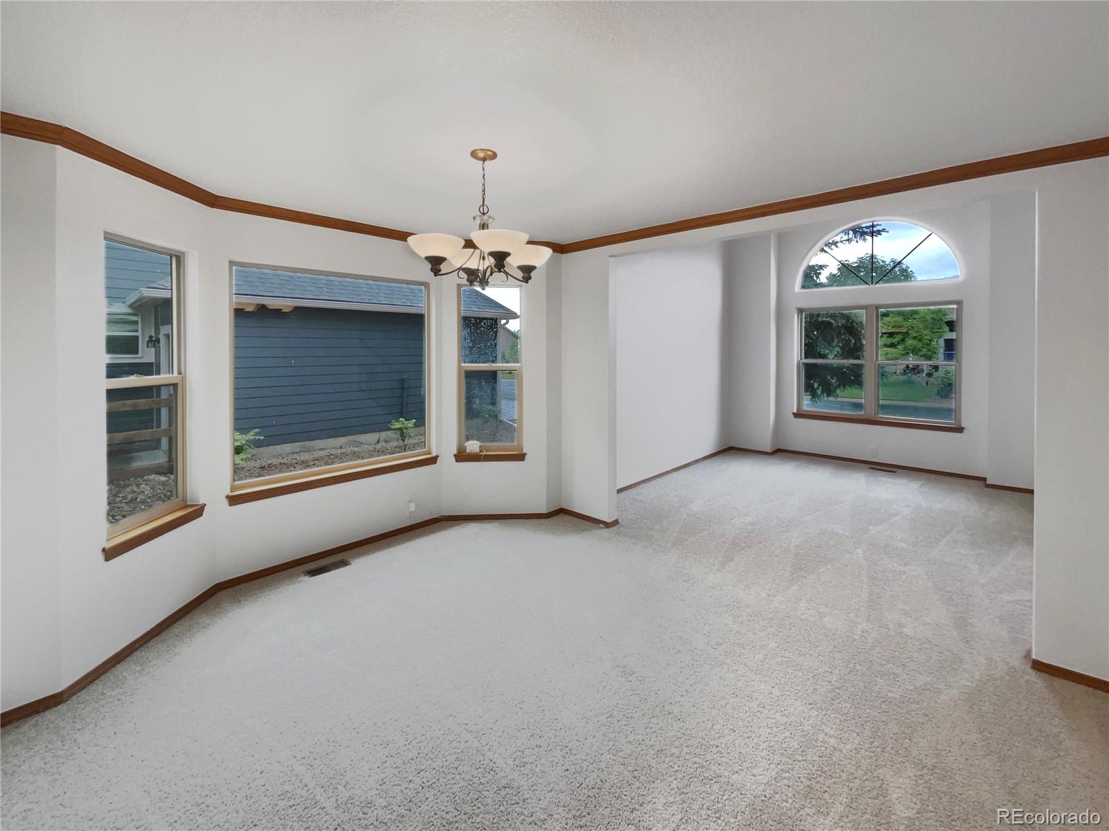 MLS Image #8 for 584 w prestwick way,castle rock, Colorado