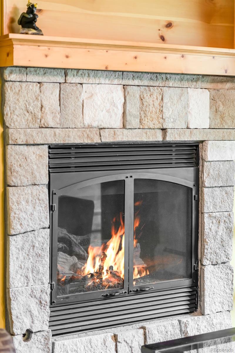 MLS Image #11 for 105 s high street,breckenridge, Colorado