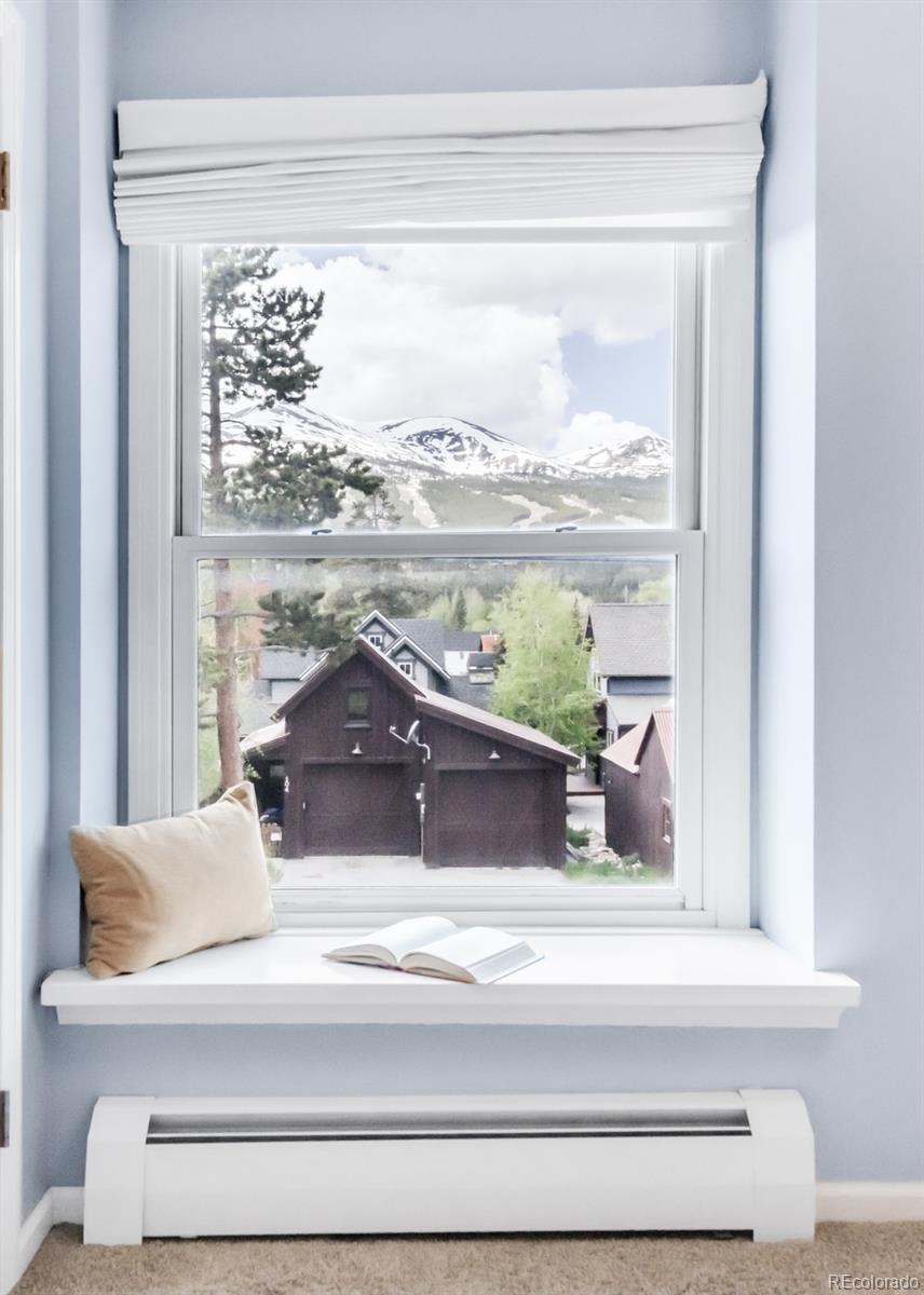 MLS Image #16 for 105 s high street,breckenridge, Colorado