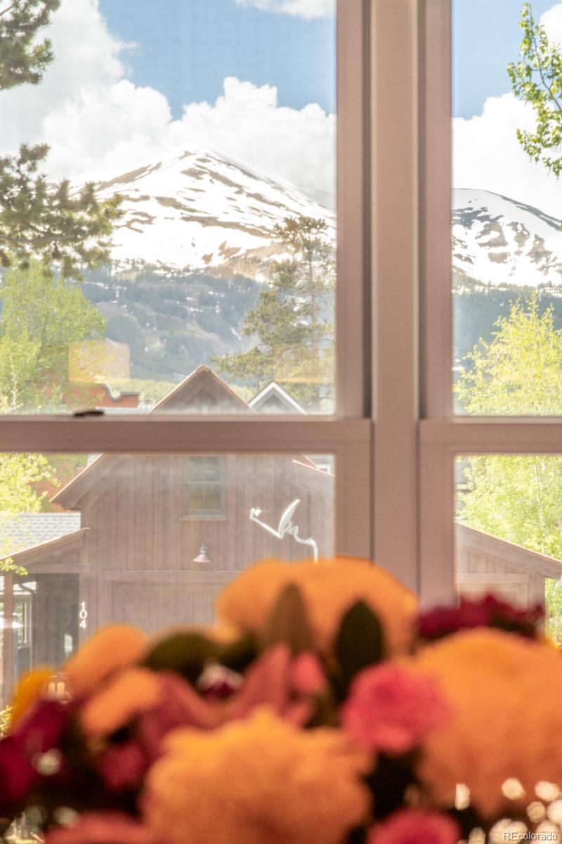 MLS Image #2 for 105 s high street,breckenridge, Colorado