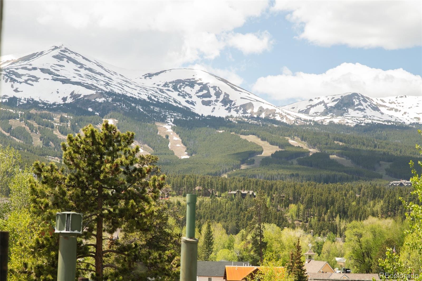 MLS Image #27 for 105 s high street,breckenridge, Colorado