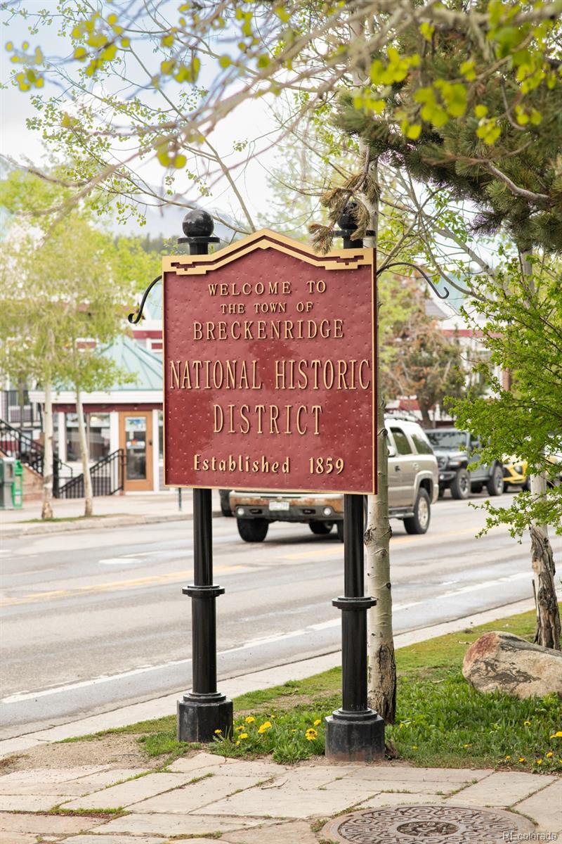 MLS Image #33 for 105 s high street,breckenridge, Colorado
