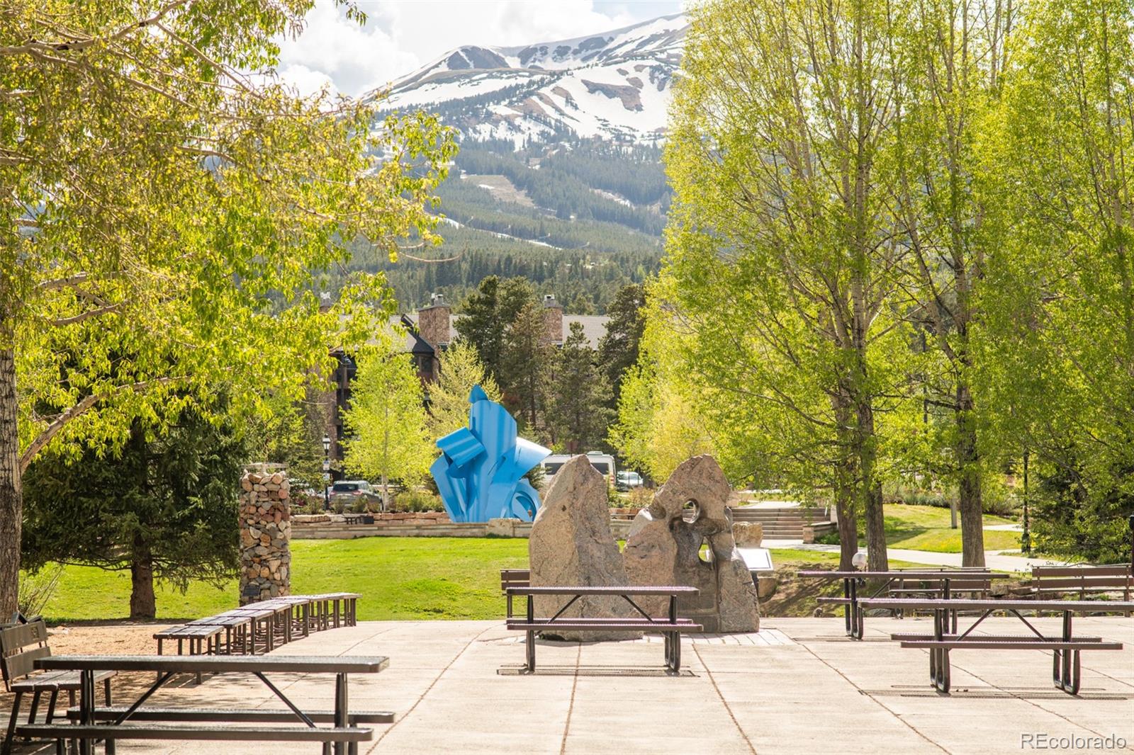 MLS Image #37 for 105 s high street,breckenridge, Colorado