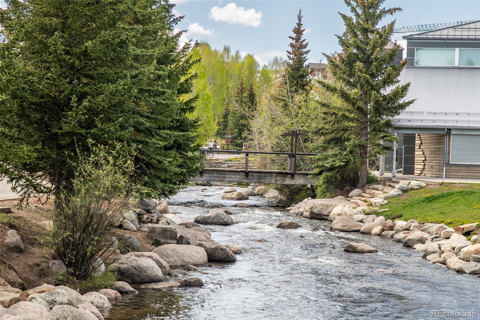 MLS Image #38 for 105 s high street,breckenridge, Colorado