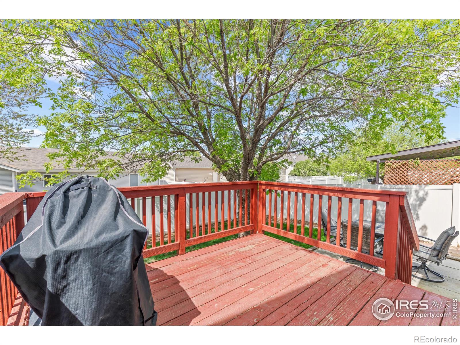 MLS Image #6 for 3325  grenache street,evans, Colorado