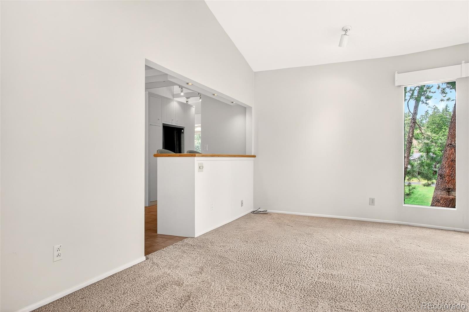 MLS Image #4 for 785  hidden valley road,colorado springs, Colorado