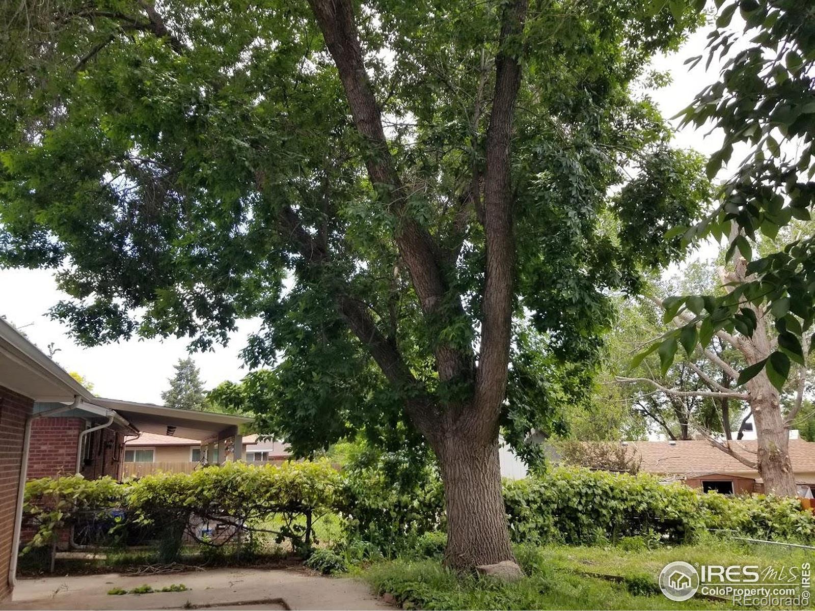 MLS Image #16 for 829  hubbard drive,longmont, Colorado
