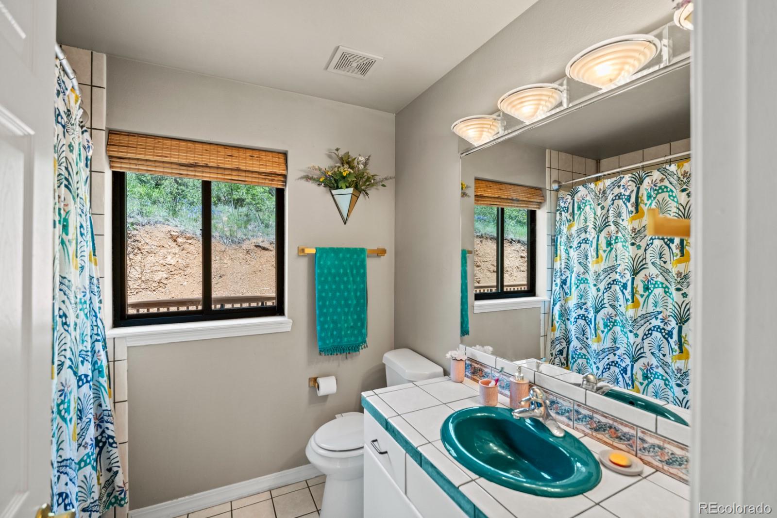 MLS Image #15 for 4440  prairie street,cascade, Colorado