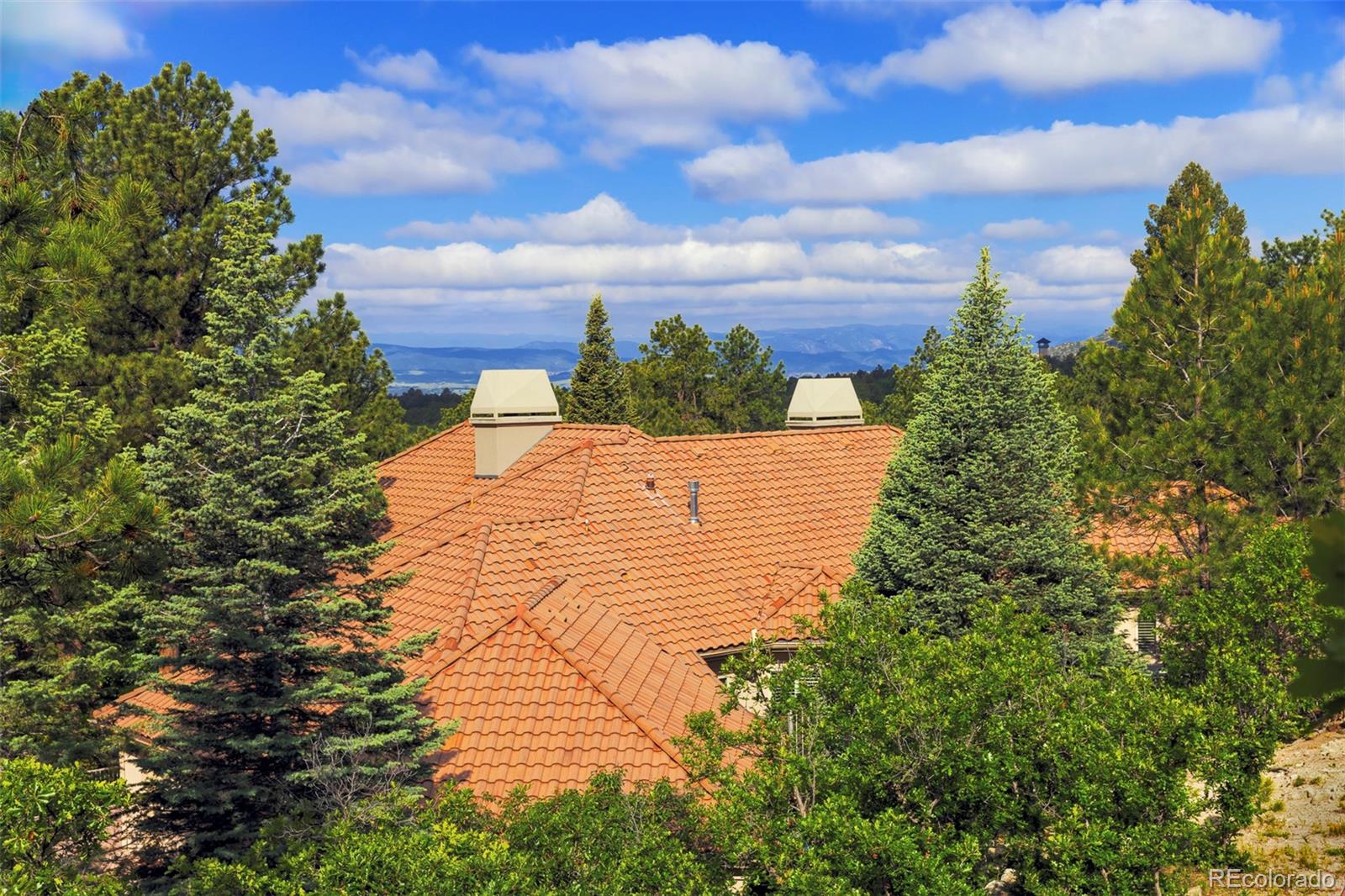 MLS Image #17 for 392  starmine place,castle rock, Colorado