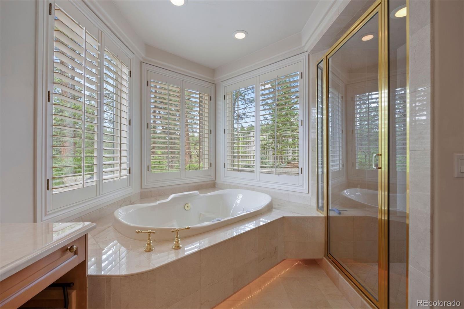 MLS Image #20 for 392  starmine place,castle rock, Colorado