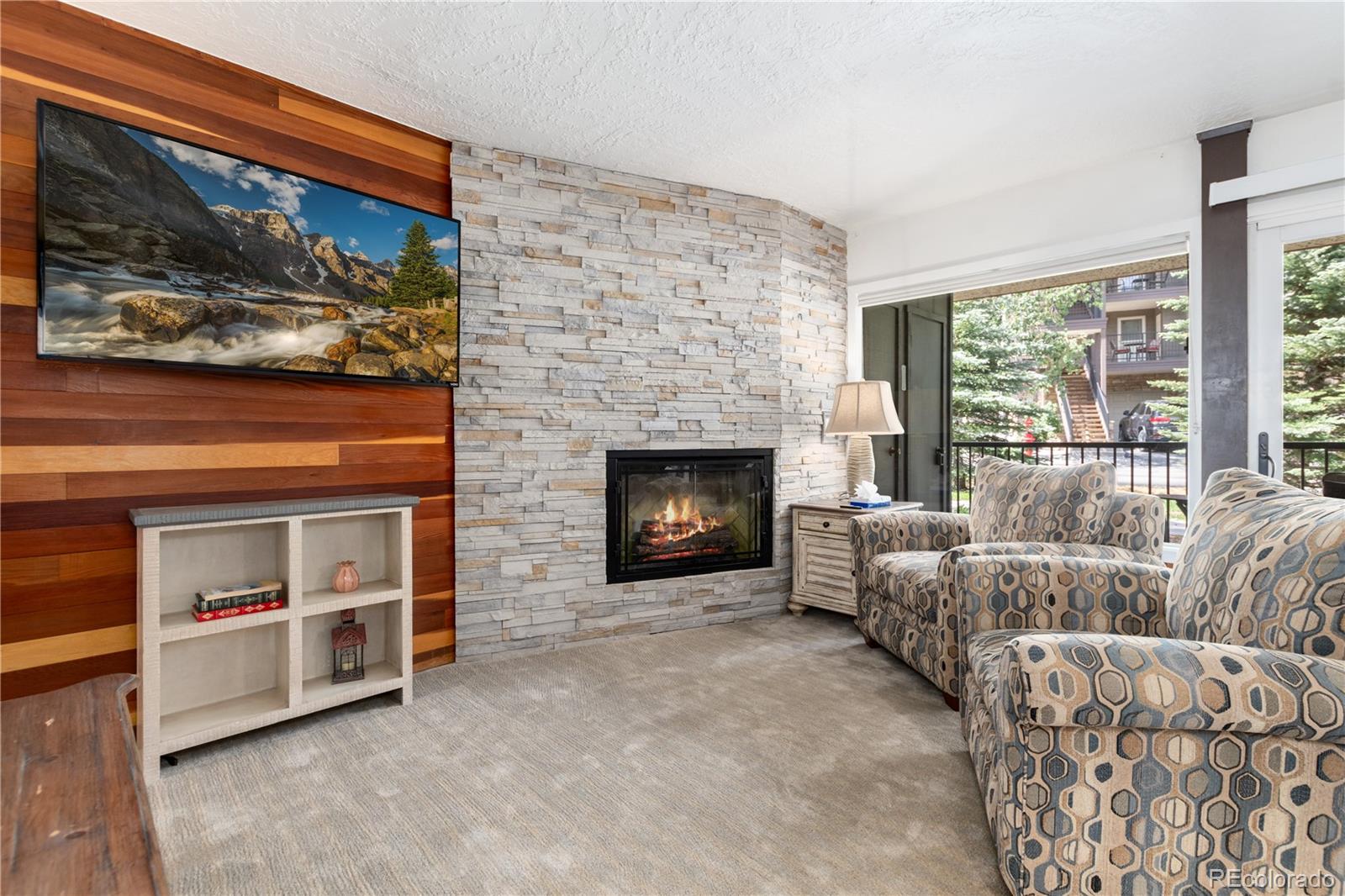 MLS Image #7 for 1127  9000 road,frisco, Colorado