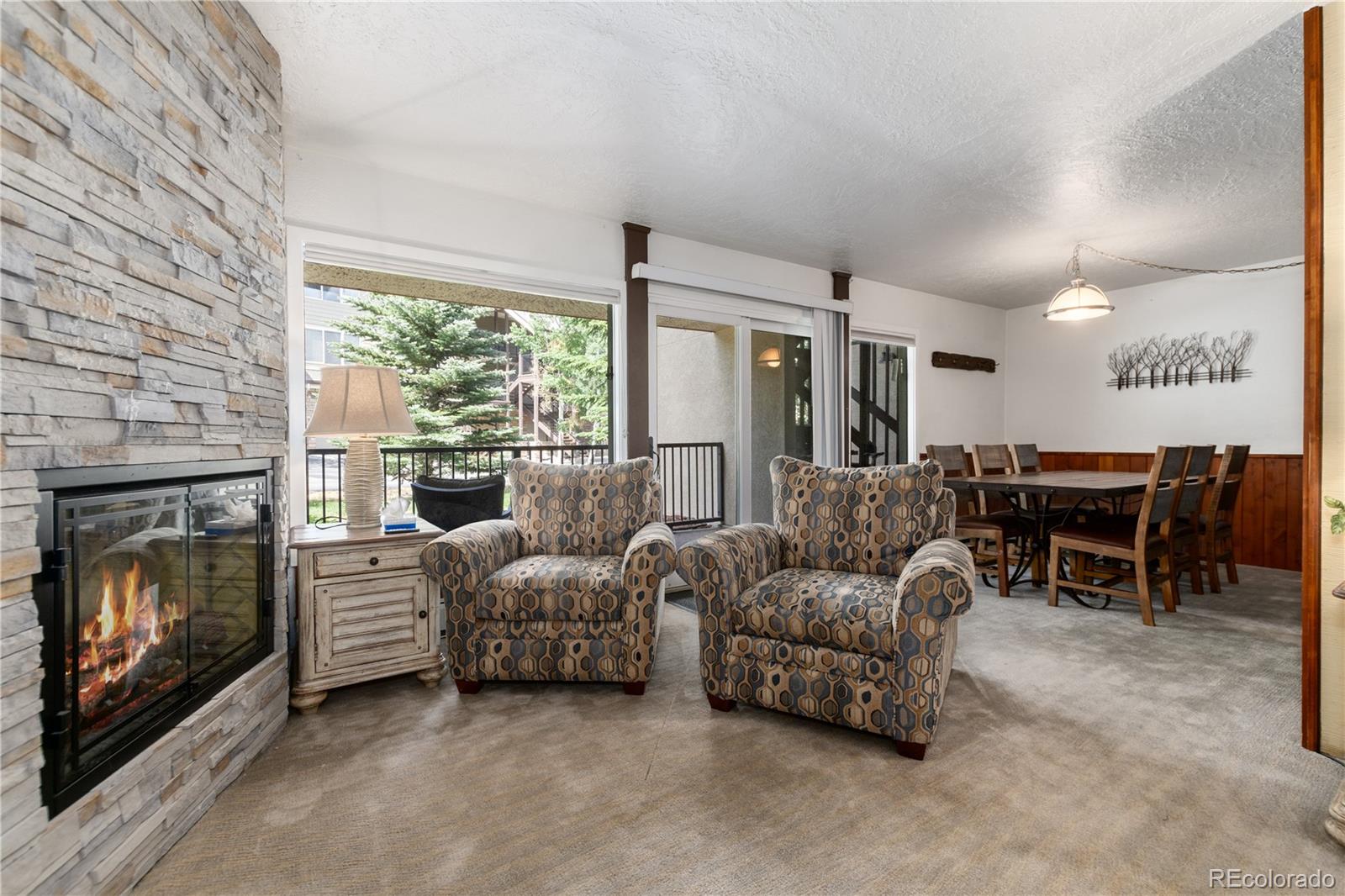 MLS Image #9 for 1127  9000 road,frisco, Colorado