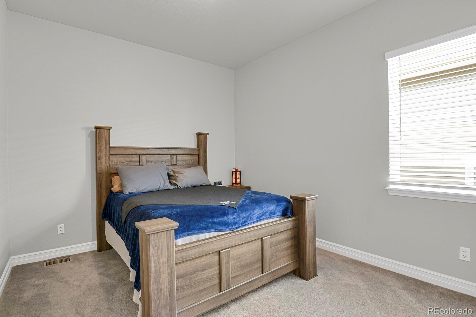 MLS Image #29 for 12938  bridge view lane,parker, Colorado