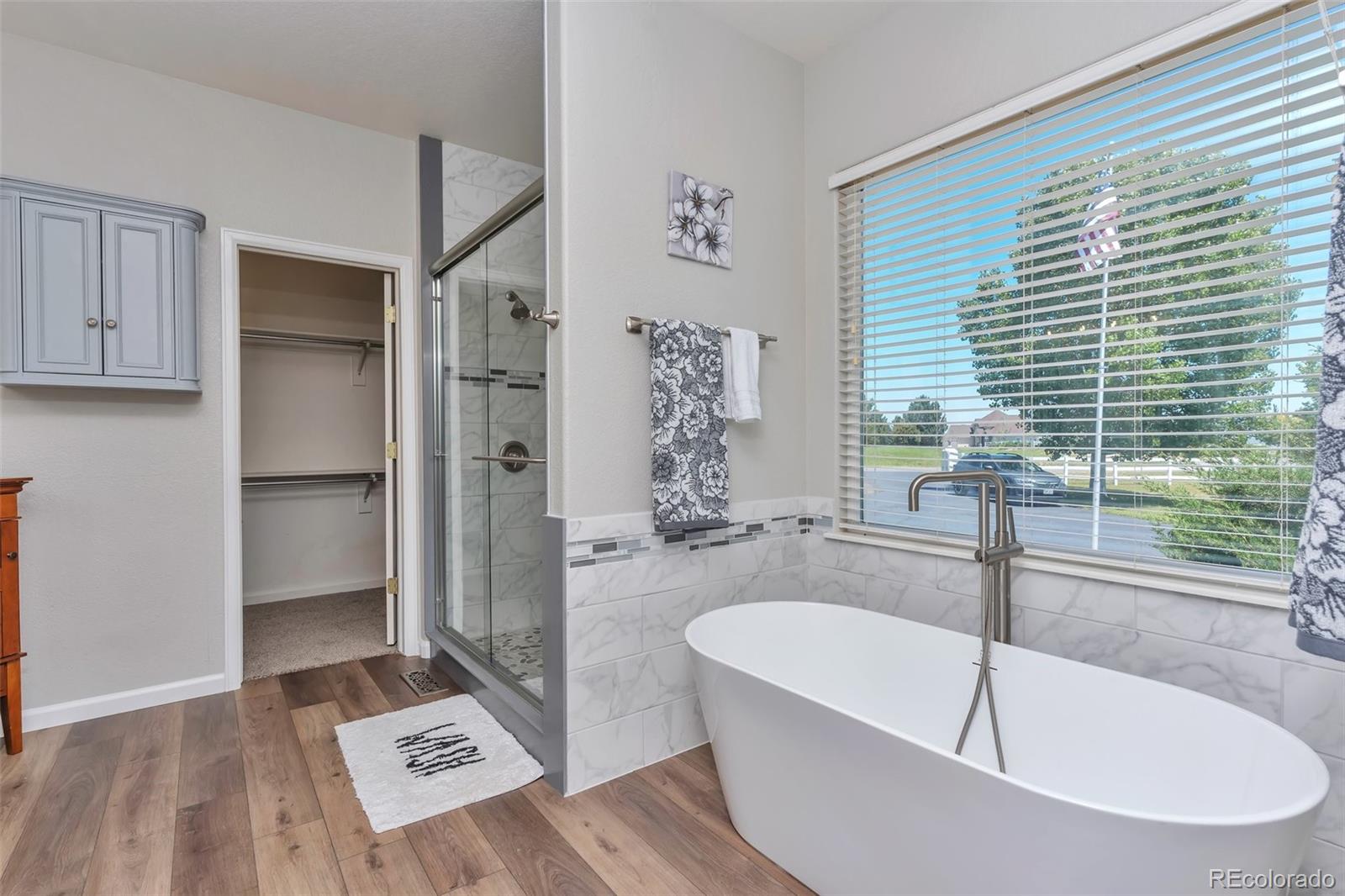 MLS Image #17 for 29852 e 163rd place,brighton, Colorado