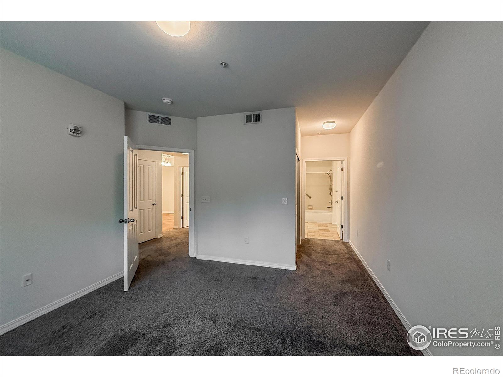 MLS Image #17 for 804  summer hawk drive,longmont, Colorado