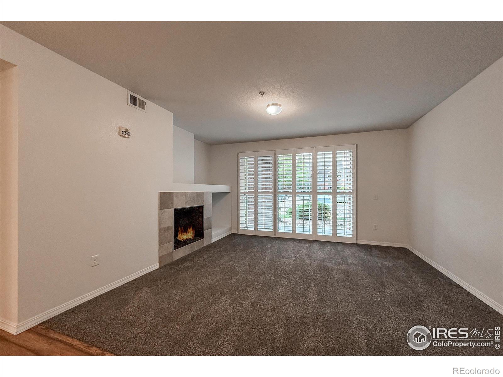 MLS Image #5 for 804  summer hawk drive,longmont, Colorado