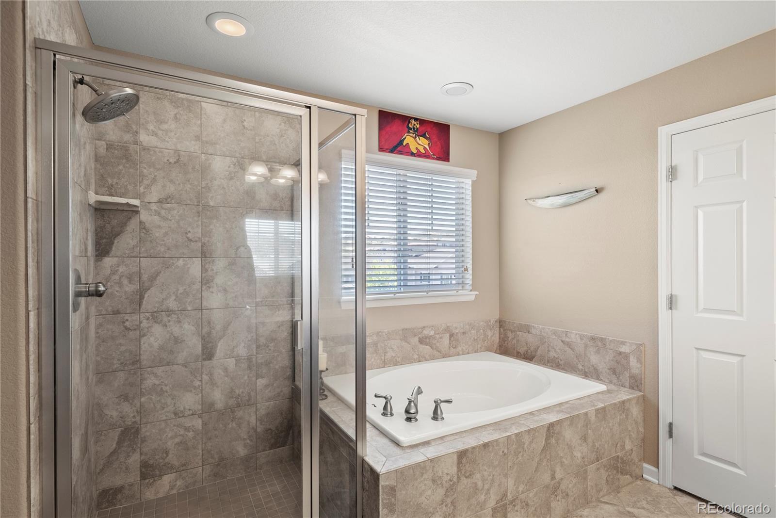 MLS Image #18 for 1382  raindrop way,castle rock, Colorado