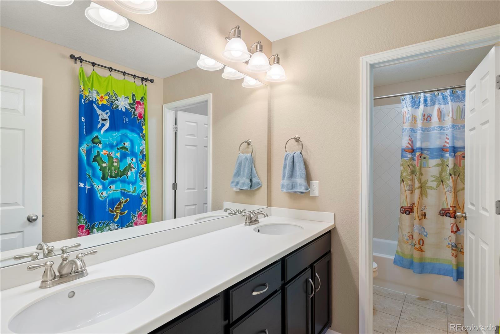 MLS Image #22 for 1382  raindrop way,castle rock, Colorado