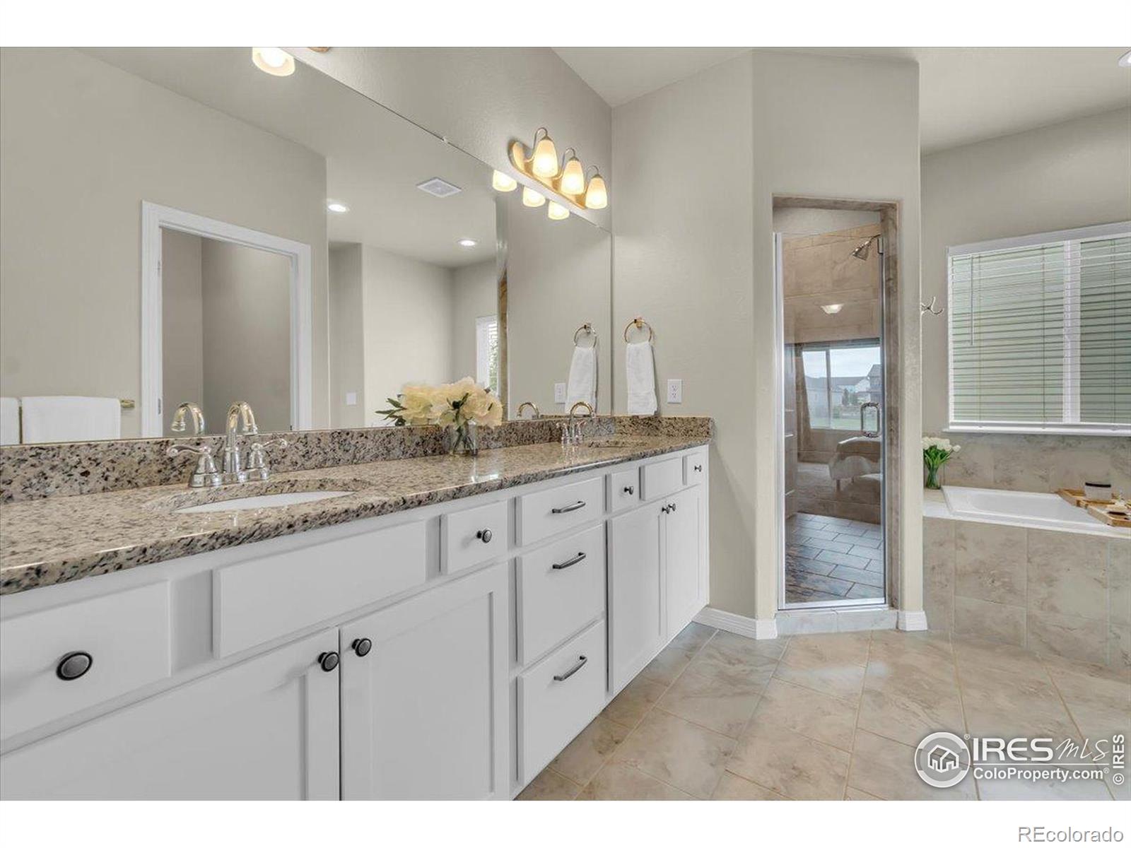 MLS Image #12 for 1368  waterfall street,timnath, Colorado