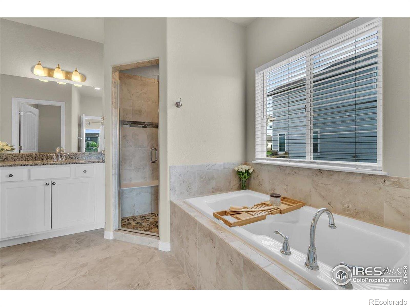 MLS Image #13 for 1368  waterfall street,timnath, Colorado