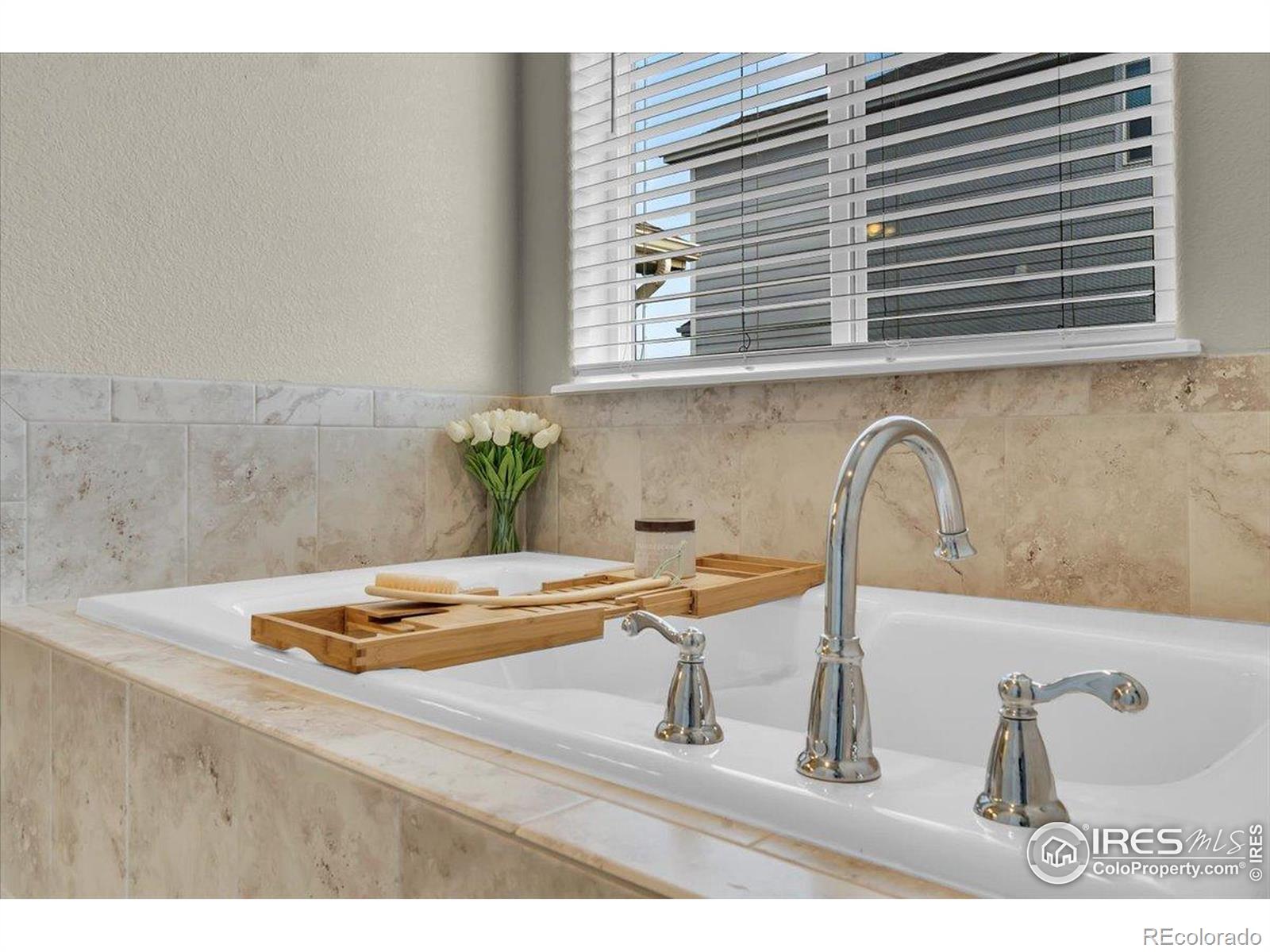 MLS Image #14 for 1368  waterfall street,timnath, Colorado
