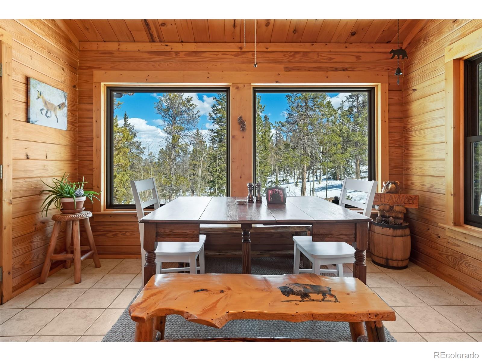 MLS Image #10 for 1666  high creek road,fairplay, Colorado